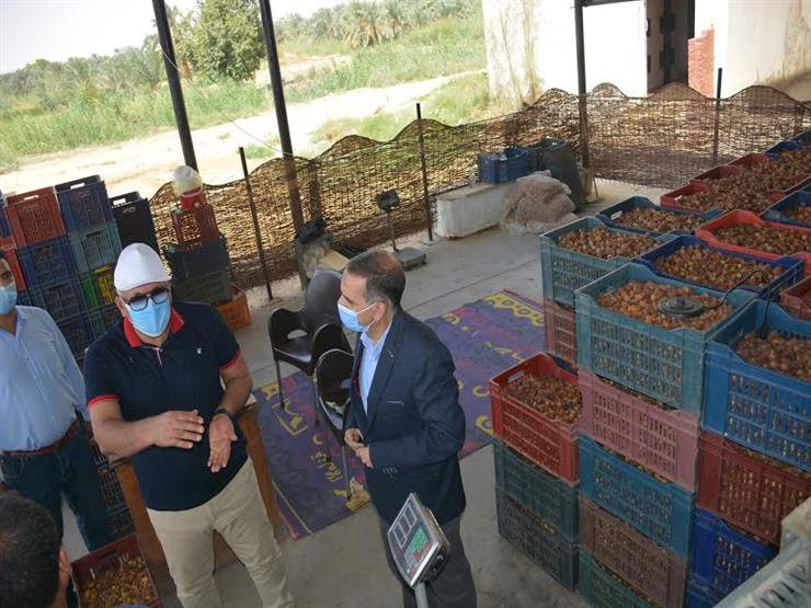 تخفيض 50 % من رسوم عرض إشغال باكيات عرض البلح بالوادي الجديد تخفيض 50 % من رسوم عرض إشغال باكيات عرض البلح بالوادي الجديد