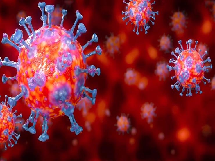 Corona virus … a study reveals the secret of low infection and death rates